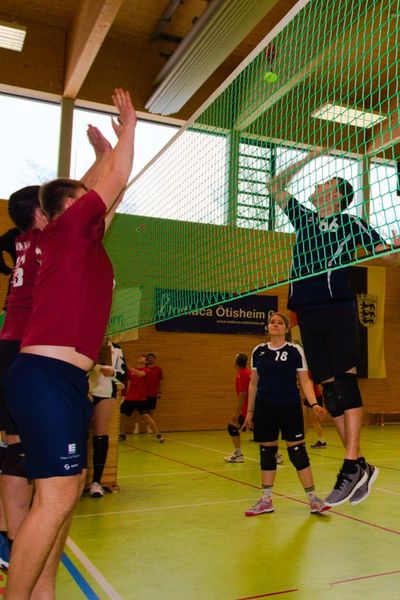 Bild 15