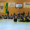 sam-sonst-011